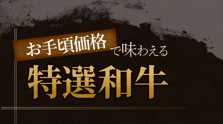 お手頃価格で味わえる特選和牛